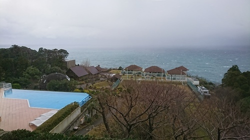 DSC_0350.JPG